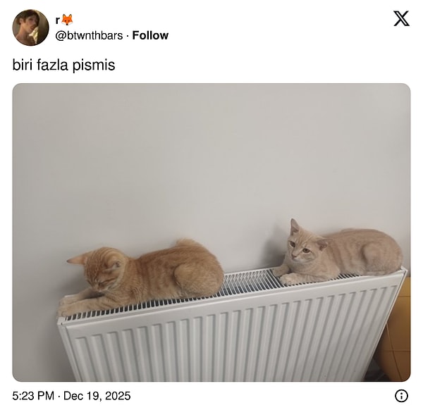 Arada çevirmek lazım...