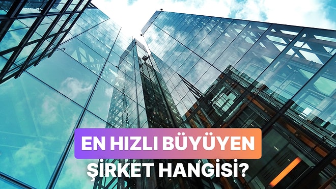Son Yıllarda En Hızlı Büyüyen Şirketi Bulabilir misin?