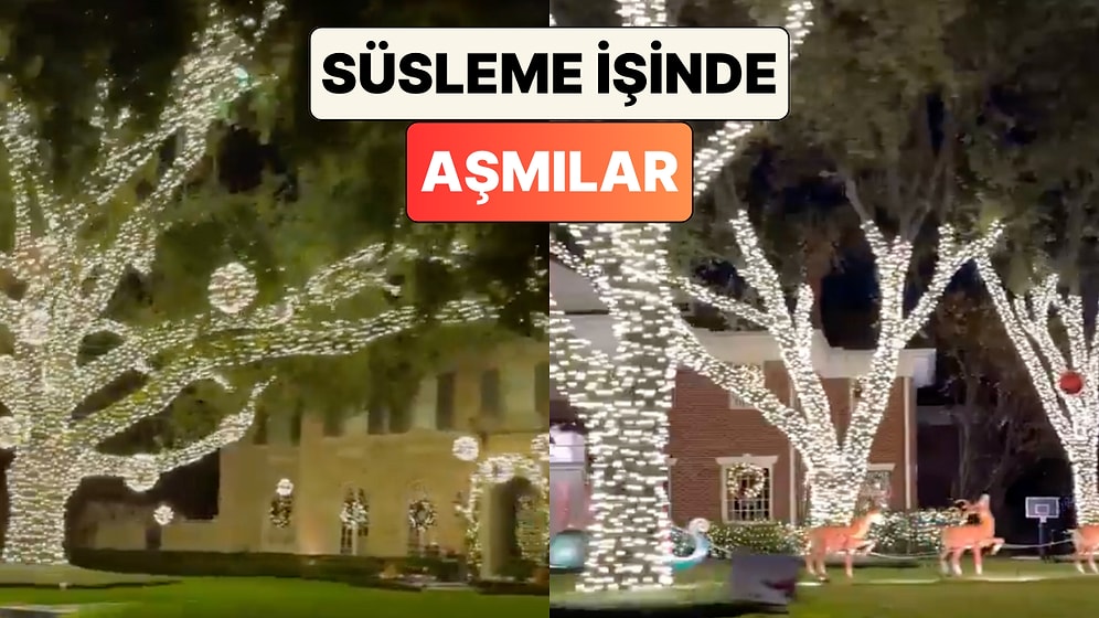 Masal Diyarı Gibi: ABD'de Bir Mahalle'de Yılbaşı İçin Yapılan Işıklandırmalar Beğeni Topladı