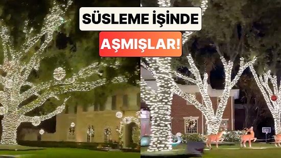 Masal Diyarı Gibi: ABD'de Bir Mahalle'de Yılbaşı İçin Yapılan Işıklandırmalar Beğeni Topladı