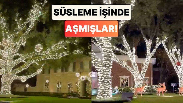 Masal Diyarı Gibi: ABD'de Bir Mahalle'de Yılbaşı İçin Yapılan Işıklandırmalar Beğeni Topladı