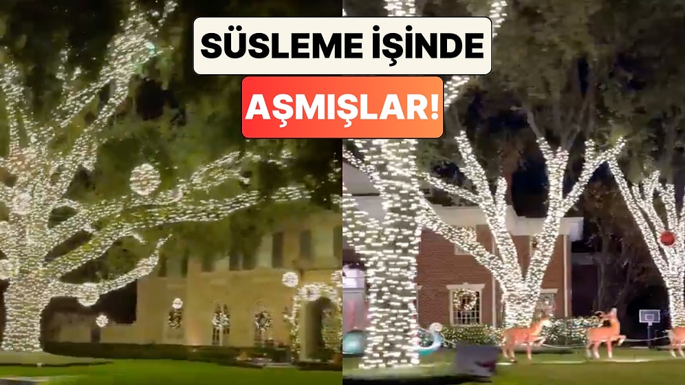 Masal Diyarı Gibi: ABD'de Bir Mahalle'de Yılbaşı İçin Yapılan Işıklandırmalar Beğeni Topladı