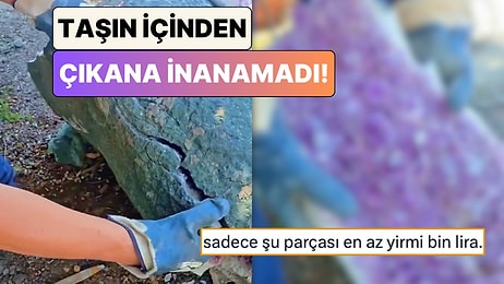 Bir Adam Doğada Yürürken Dikkatini Çeken Taşın İçini Açınca Gördüklerine İnanamadı