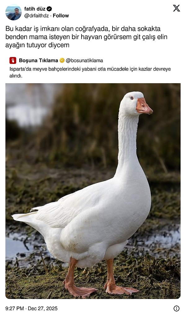 Kediler her türlü alır o mamayı senden ama yine de dene tabii.