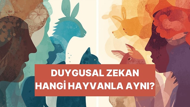 Senin EQ’un Hangi Hayvanla Aynı?