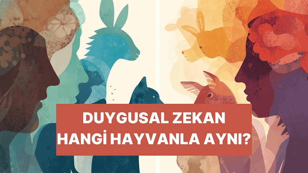 Senin EQ’un Hangi Hayvanla Aynı?