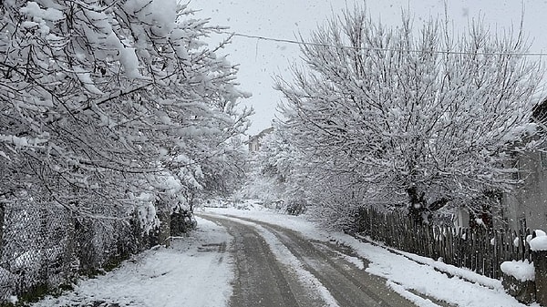 Etkisini göstermeye başlayan Zonguldak'ta "Yarın okullar tatil mi?", "Yarın okul var mı?" diye merak ediliyor.