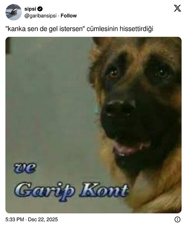 9. Garip Kont size ne etti?