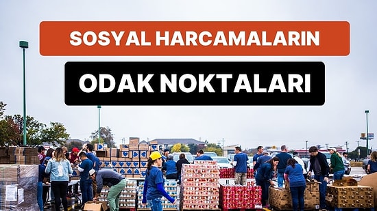 Ülkelerde Sosyal Harcamalar Hangi Alanlara Odaklanıyor?