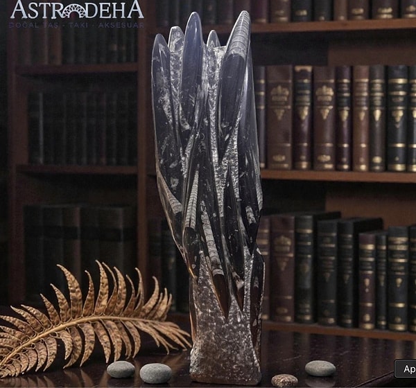 Ofiste Belemnit Kullanımı