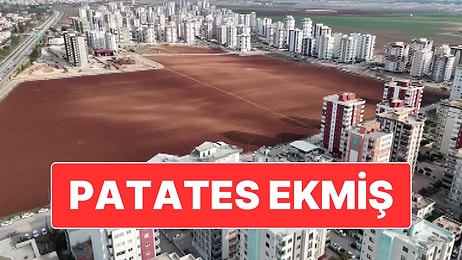 Adana’da Tüm Israrlara Rağmen Tarlasını Müteahhitlere Vermeyen Vatandaş Patates Ekimi Yaptı