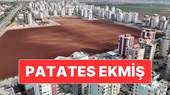 Adana’da Tüm Israrlara Rağmen Tarlasını Müteahhitlere Vermeyen Vatandaş Patates Ekimi Yaptı