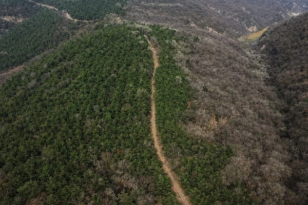 Keşfedilen yol, Çin’in ilk imparatorluk dönemine ait