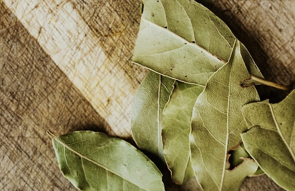 Bilimsel bir araştırma olmadığının altını çizelim