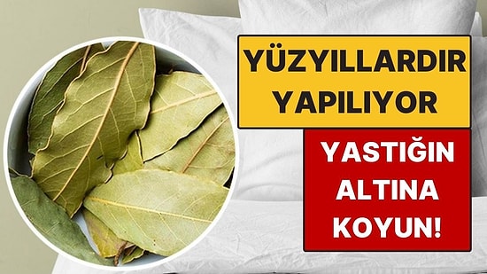 Gece Yastığınızın Altına Defne Yaprağı Koyun! Yüzyıllardır Yapılıyor