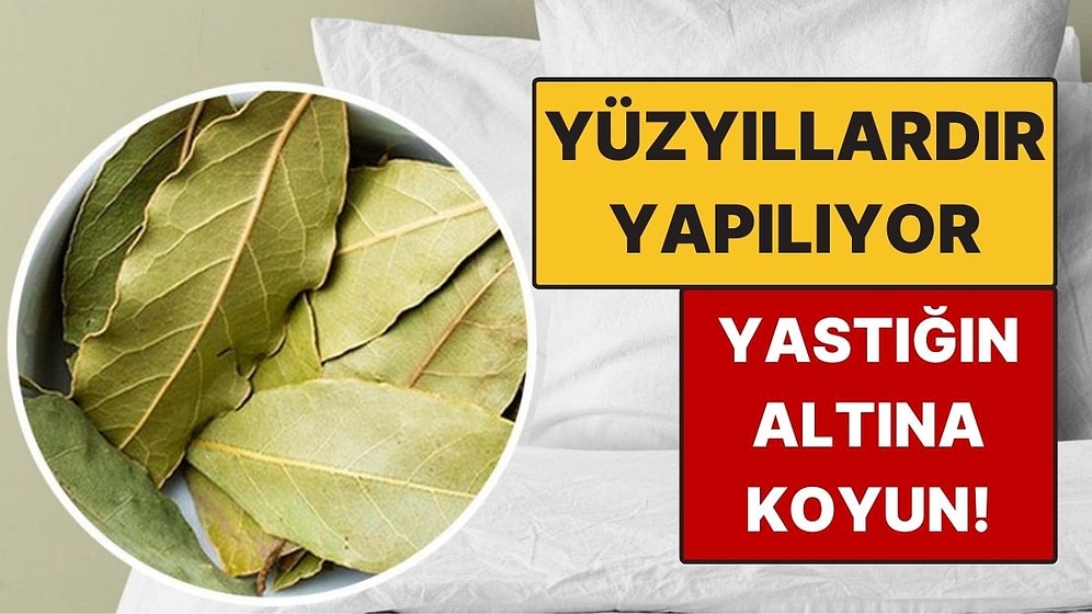 Gece Yastığınızın Altına Defne Yaprağı Koyun! Yüzyıllardır Yapılıyor