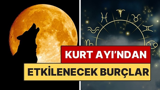 Kurt Ayı’ndan En Çok Etkilenecek Burçlar: Yeni Bir Uyanış Başlıyor!