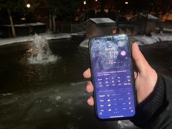 Ankara'daki kuğulu park buz tuttu!