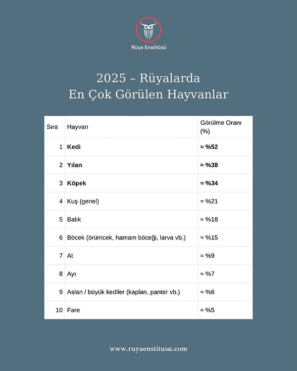 En çok görülen hayvan ise kedi oldu.