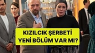 Kızılcık Şerbeti Bu Akşam Var mı? Kızılcık Şerbeti Yeni Bölüm Ne Zaman?