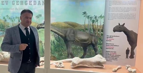 Tuzluca’da bulunan fosil, günümüz fillerini dahi gölgede bırakacak devasa boyutlara sahip.