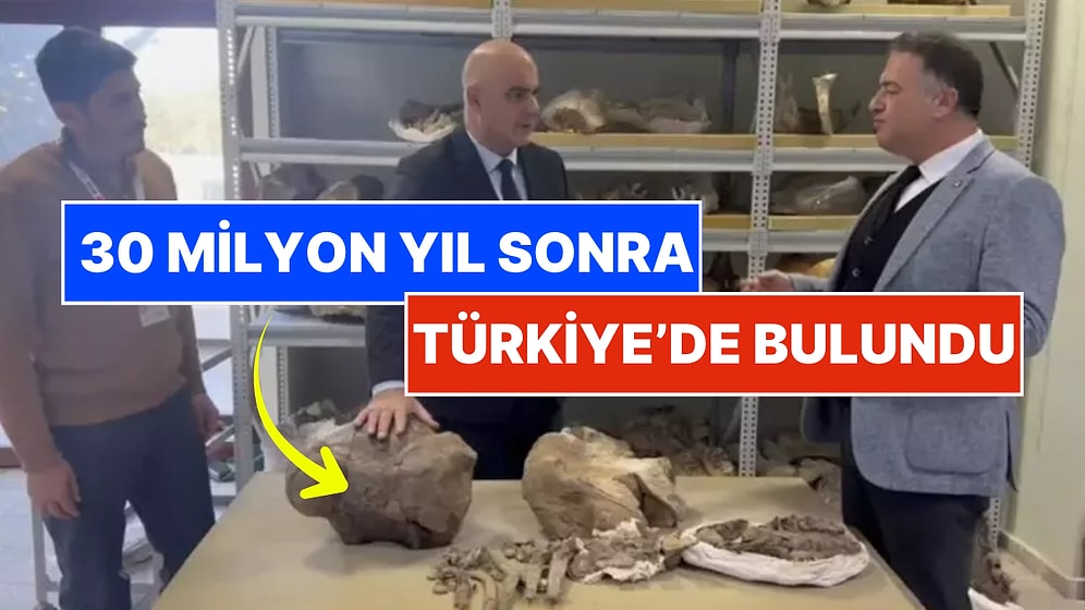 Dünya'nın En Büyüğü Türkiye'de Keşfedildi: 30 Milyon Yıllık Paha Biçilemez Kalıntılar!
