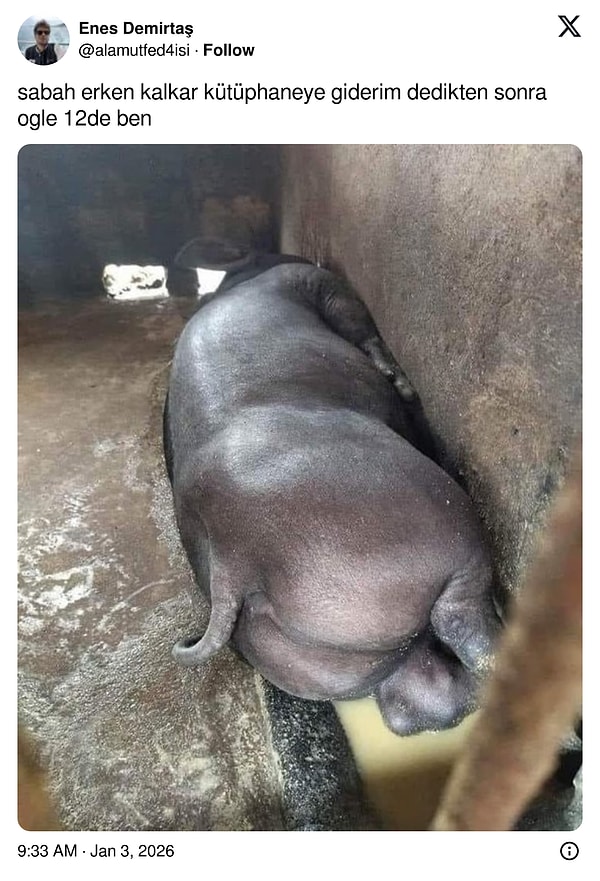 Olmuyor o iş öyle.