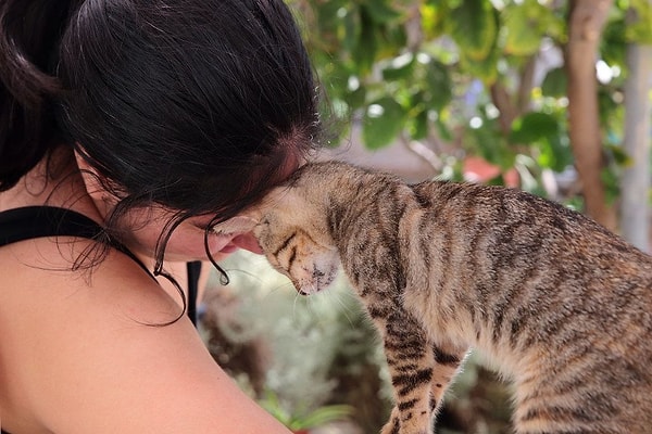 Peki gönüllüler ne yapacak?