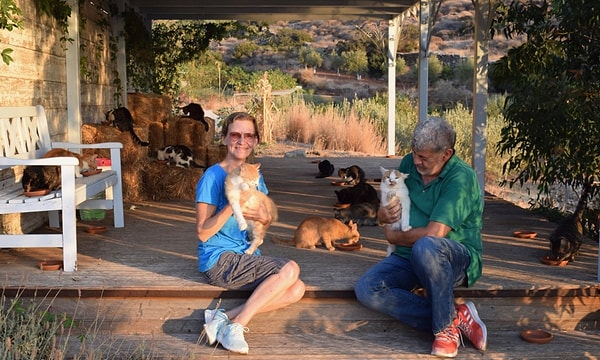 Veterinarians, nurses, or simply those who have a love for cats are all eligible to apply.