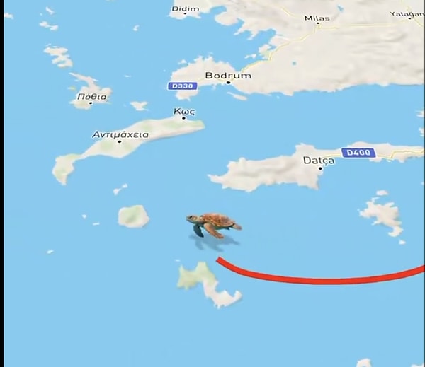 DEKAMER'in videoya açıklaması şöyle;