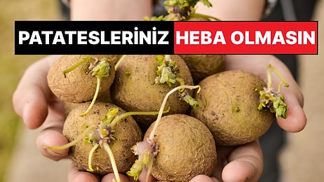 Hayat Kurtaran Mutfak Tüyosu: Patatesleriniz Artık Filizlenmeyecek