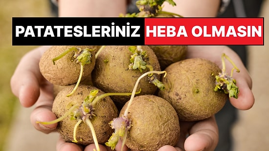 Hayat Kurtaran Mutfak Tüyosu: Patatesleriniz Artık Filizlenmeyecek