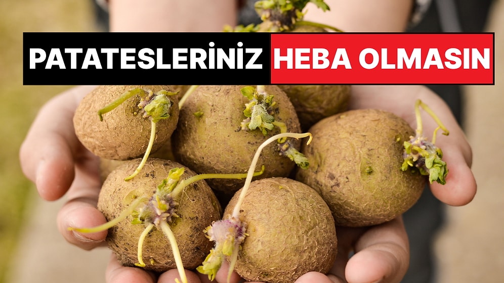 Hayat Kurtaran Mutfak Tüyosu: Patatesleriniz Artık Filizlenmeyecek