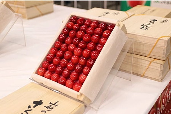 Premium bir meyve olarak tanımlanan bu kiraz türü geçtiğimiz yılın müzayedesinde 426 bin TL'ye alıcı bulmuştu.