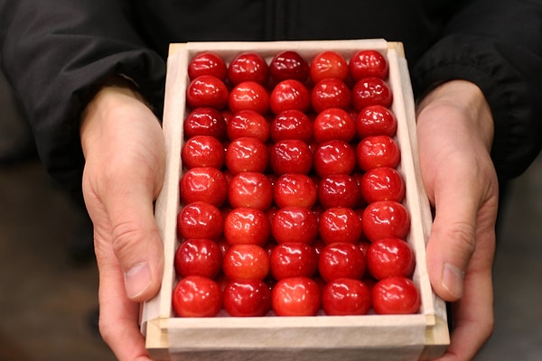 Peki Japonya'da bir statü sembolü olan bu prestijli kirazın özelliği ne?