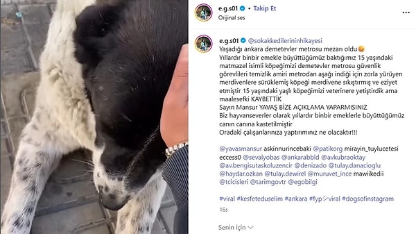 Bir sosyal medya hesabı konuya dair şu açıklamayı yaptı: