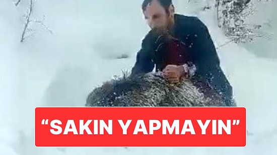 Çıplak Elle Yakaladığı Domuz ile Gündem Olan Vatandaştan “Kimseye Önermiyorum” Uyarısı