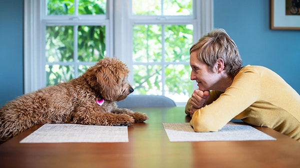 Evcil hayvanıyla konuşan kişiler küçük anlardan bağ kurmayı bilir