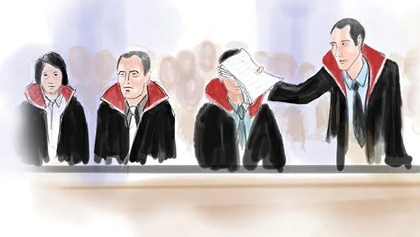 9. Avukatın temel görevi aşağıdakilerden hangisidir?