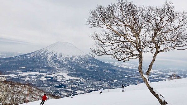 Kartpostallık manzaralar milyonları çekti