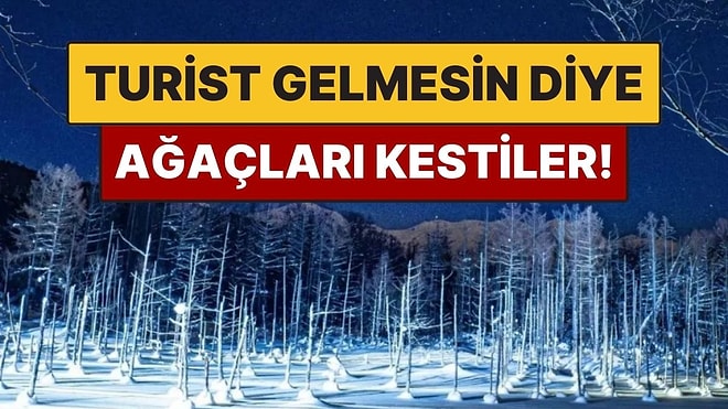 Turist Akınını Durdurmak İçin Ağaçlarını Kesen Kasaba! Daha Fazla Geldiler