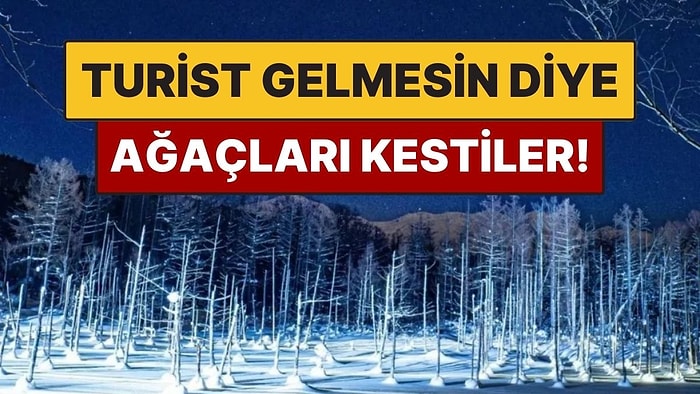 Turist Akınını Durdurmak İçin Ağaçlarını Kesen Kasaba! Daha Fazla Geldiler