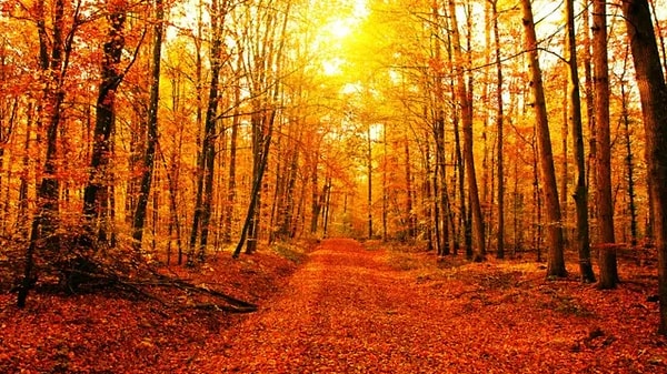 Ruhun sonbahar gibi!