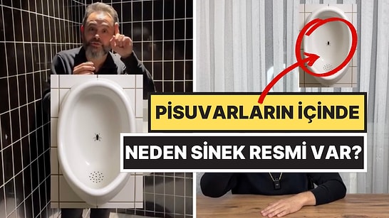 Psikolojik Nedeni Açıklandı: Pisuvarlarda Neden Sinek Resmi Var?