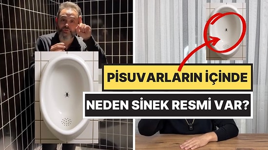Psikolojik Nedeni Açıklandı: Pisuvarlarda Neden Sinek Resmi Var?