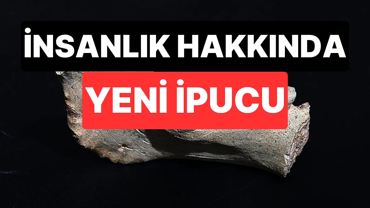 Fas’ta Bulunan 773 Bin Yıllık Fosiller, İnsan Evriminin Bilinen Zaman Çizelgesini Altüst Etti