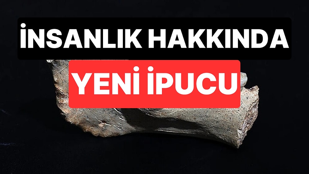 Fas’ta Bulunan 773 Bin Yıllık Fosiller, İnsan Evriminin Bilinen Zaman Çizelgesini Altüst Etti