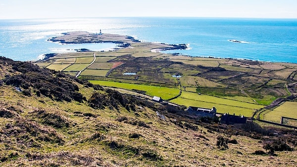 Ziyaretçi karşılamadan proje iletişimine uzanan roller