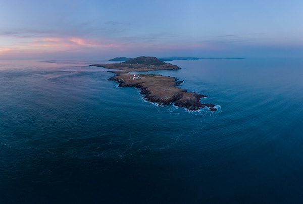 Açık pozisyonlar arasında proje sorumluluğu da bulunuyor