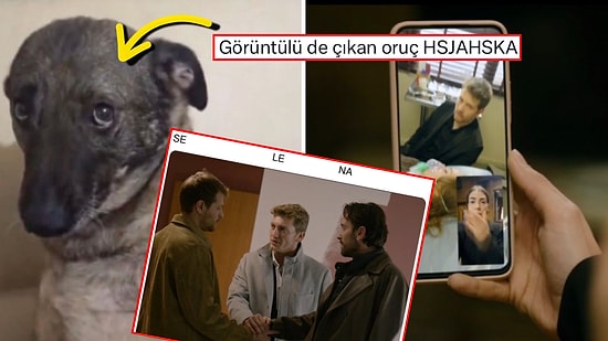 Taşacak Bu Deniz'i Mizahına Alet Ederek Hepimizi Güldüren Goygoyseverler